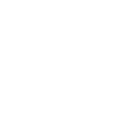 pericia (1)